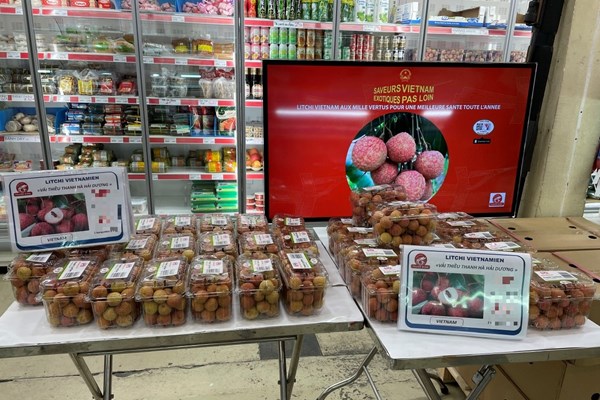 Vải thiều Thanh Hà xuất khẩu với tem truy xuất nguồn gốc bằng tiếng Pháp - Anh 2
