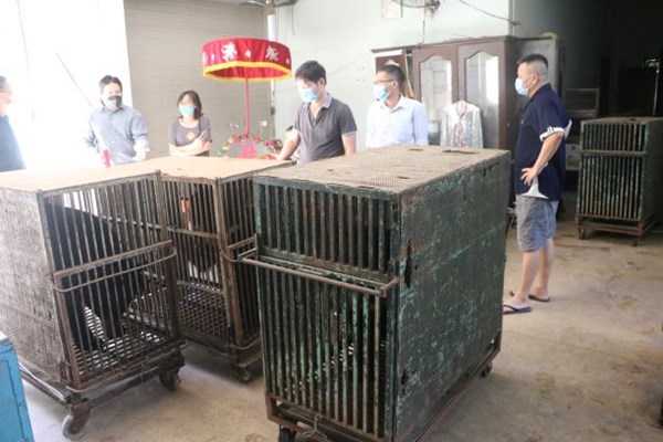 4 cá thể gấu cuối cùng của Rạp Xiếc Trung ương được chuyển giao cho Trung tâm cứu hộ gấu - Anh 3