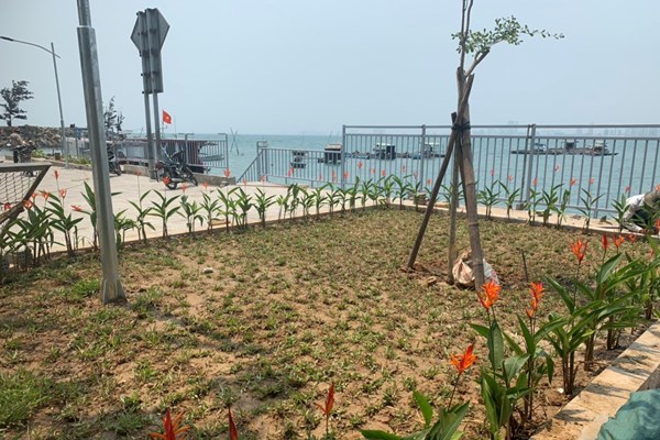 Đầu tư hạng mục, tạo điểm đến du lịch trên tuyến thủy nội địa CT15 tại bán đảo Sơn Trà - Anh 2