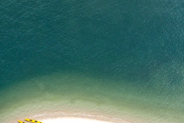 Vắcxin sẽ là chìa khóa phục hồi - Anh 1