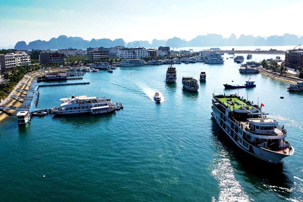 Thử nghiệm hộ chiếu vắcxin ở thị trường nội địa: Tại sao không? - Anh 1