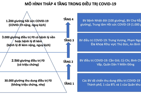 Huy động tổng lực điều trị cho bệnh nhân Covid-19 - Anh 1