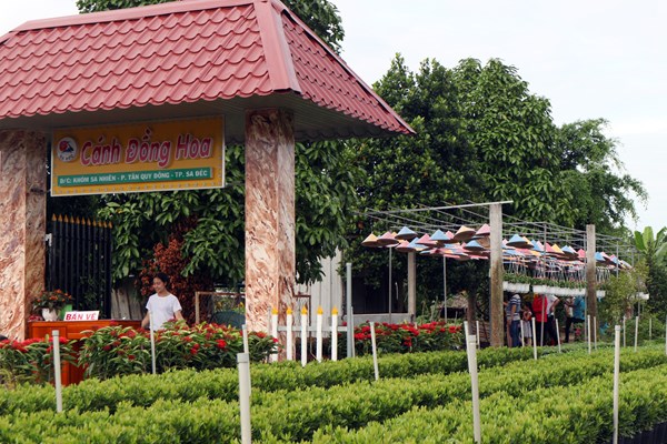 Đồng Tháp xây dựng 3 kịch bản tiêu thụ nông sản trong tình hình Covid-19 - Anh 2