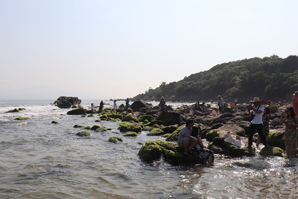 Đầu tư tuyến kè chống sạt lở dự án Khu du lịch sinh thái Nam Ô - Anh 1