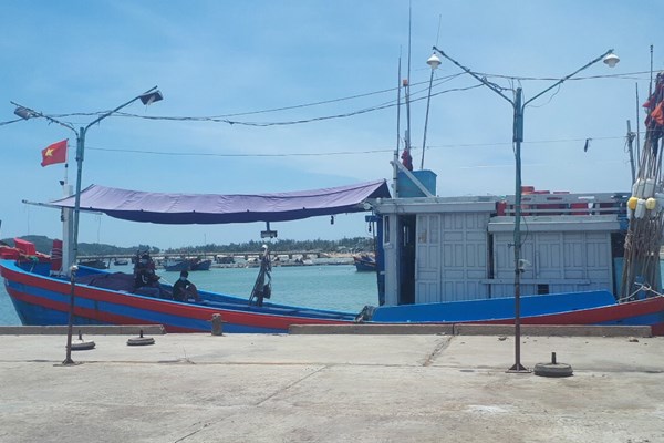 Quảng Ngãi: 12 ngư dân dương tính SARS-CoV-2 - Anh 1