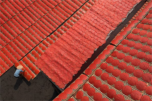 Việt Nam đạt 2 bằng Danh dự quốc gia tại Cuộc thi ảnh thường niên FIAP 2021 - Anh 9