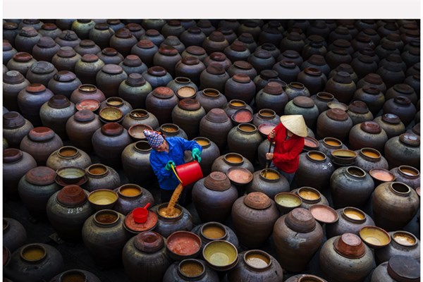 Việt Nam đạt 2 bằng Danh dự quốc gia tại Cuộc thi ảnh thường niên FIAP 2021 - Anh 10