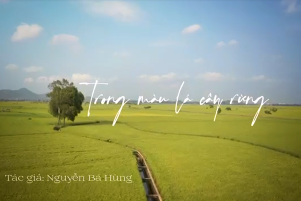 Nhạc sĩ 8X sáng tác tình ca tri ân người lính - Anh 2