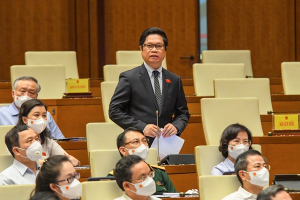 Kỳ họp Quốc hội: Cần nhiều giải pháp căn cơ để thúc đẩy phát triển kinh tế - xã hội 6 tháng cuối năm - Anh 5