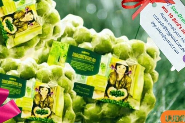 Quả sấu đông lạnh Việt Nam được bán 18 AUD/kg tại Australia - Anh 1