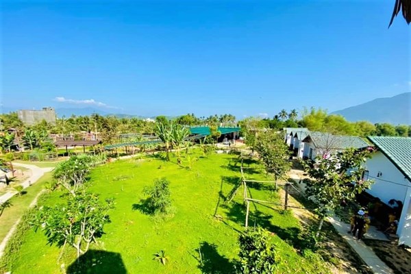 Viết tiếp bài “Nhập nhằng mô hình du lịch farmstay”: Chỉ nên phát triển ở nơi có đủ điều kiện - Anh 2