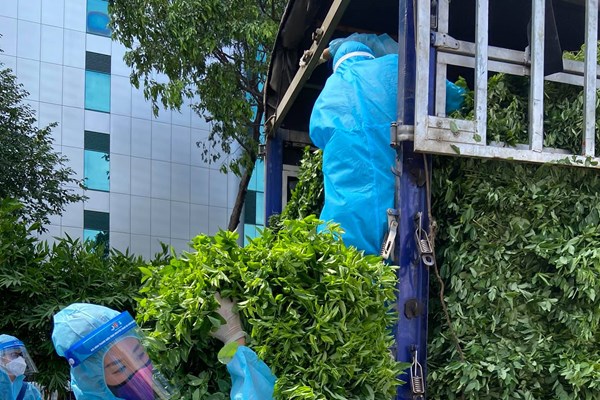 Giới nghệ sĩ với sứ mệnh lan tỏa tinh thần phòng, chống dịch: “Cờ Tổ quốc tung bay trong mỗi trái tim chúng tôi...” - Anh 3