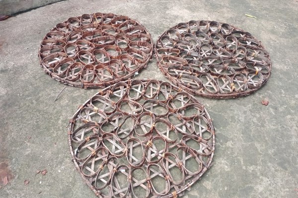 Kể chuyện làng: Những chiếc bánh bèo của bác Vụ - Anh 1