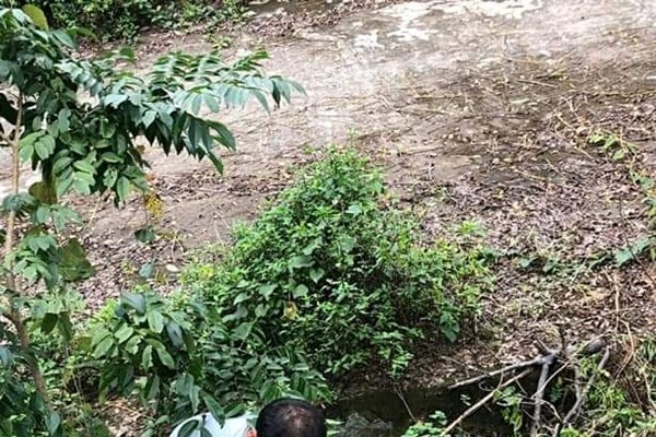 Đưa động vật hoang dã, quý hiếm trở về ngôi nhà tự nhiên - Anh 2