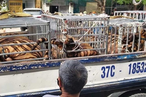 Xung quanh việc giải cứu 17 