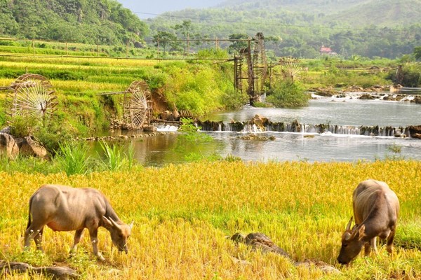 Hãy cùng khám phá 3 điểm đến hấp dẫn của Xứ Thanh khi hết dịch - Anh 6