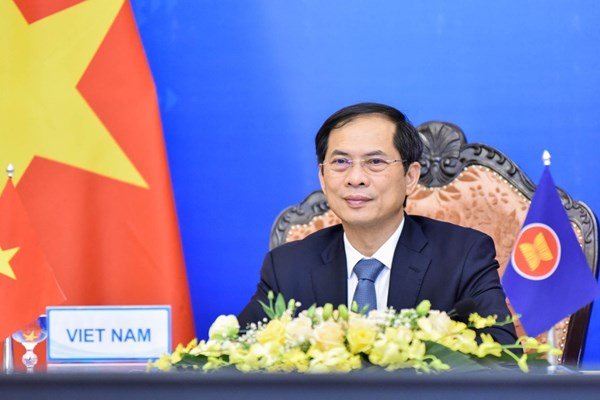 Thành lập Tổ công tác của Chính phủ về ngoại giao vaccine - Anh 1