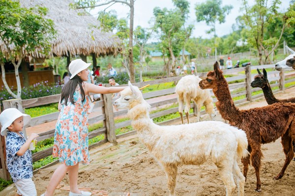 Khu sinh thái Mường Thanh Diễn Lâm chính thức ra mắt tên gọi mới 