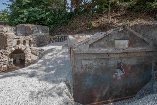 Phát hiện bộ xương làm sáng tỏ nền văn hóa Pompeii cổ đại - Anh 1