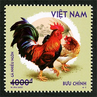 Phát hành bộ tem bưu chính “Gà bản địa Việt Nam