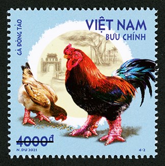 Phát hành bộ tem bưu chính “Gà bản địa Việt Nam