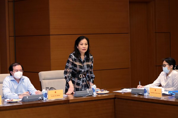 Thẩm tra sơ bộ dự án Luật Điện ảnh (sửa đổi): Phải nhìn điện ảnh vừa là một ngành nghệ thuật, vừa là một ngành kinh tế - Anh 12