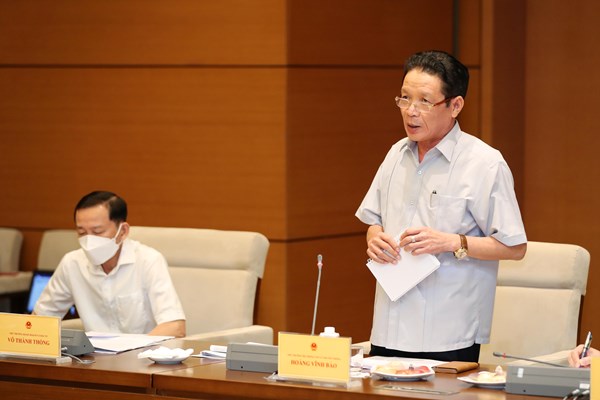 Thẩm tra sơ bộ dự án Luật Điện ảnh (sửa đổi): Phải nhìn điện ảnh vừa là một ngành nghệ thuật, vừa là một ngành kinh tế - Anh 10