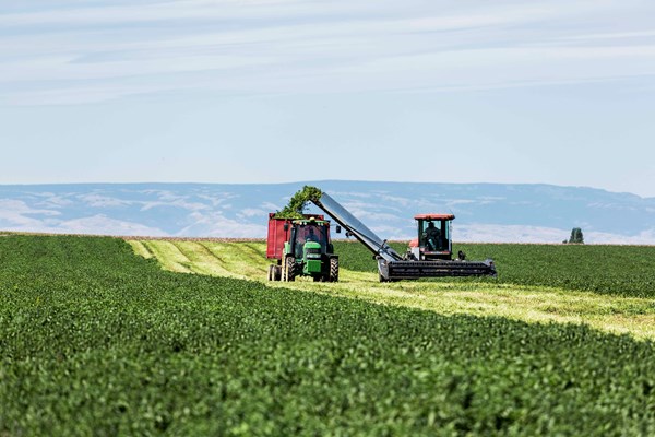 Bên trong nông trại hữu cơ làm nên những sản phẩm Amway chất lượng - Anh 2