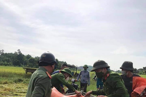 Thanh Hóa: Cán bộ công chức, công an, bộ đội giúp dân gặt lúa chạy bão - Anh 5