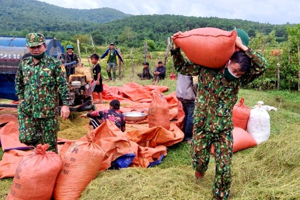 Đội mưa giúp đồng bào chằng chống nhà cửa phòng, chống bão số 5 - Anh 3