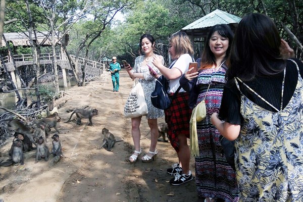 TP.HCM: Huyện Cần Giờ lên kế hoạch xây dựng tour du lịch khép kín an toàn - Anh 2