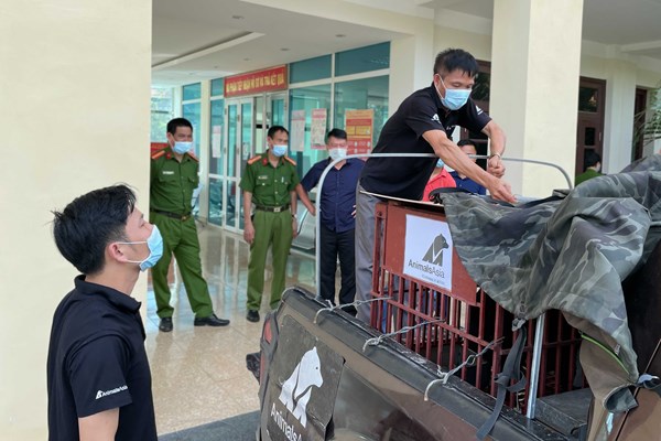 Cứu hộ cá thể gấu ngựa từ đối tượng buôn lậu tại Điện Biên - Anh 1