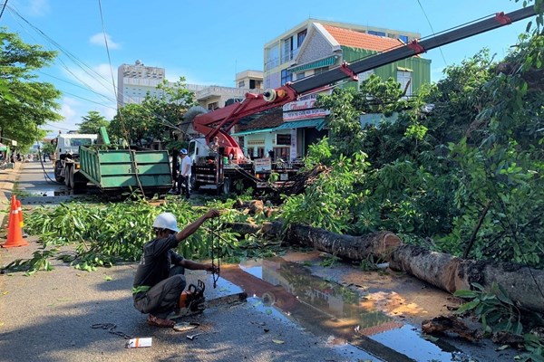 Cây đa hơn 200 năm tuổi bị bật gốc, đè chết một người - Anh 1