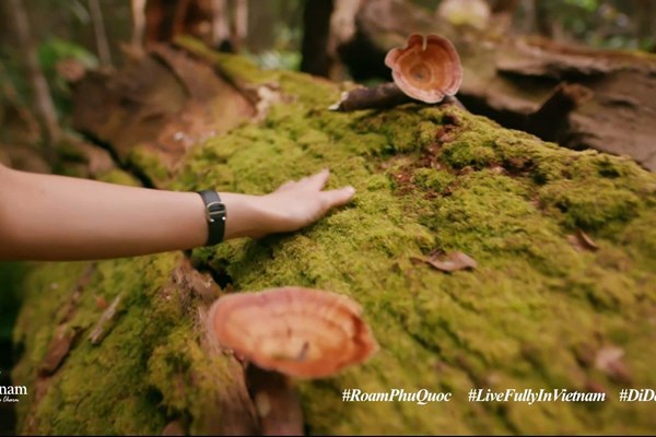 Du ngoạn Phú Quốc và khám phá thiên đường nghỉ dưỡng qua clip “Việt Nam: Đi Để Yêu! - Roam Phu Quoc” - Anh 5