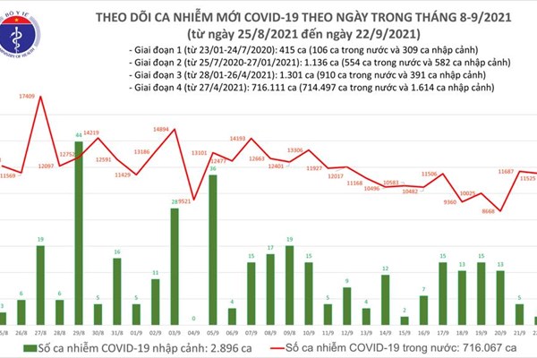 Ngày 22.9, thêm 11.527 ca Covid-19 mới, 11.919 ca khỏi bệnh - Anh 1
