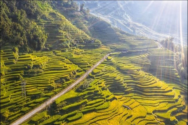 Lào Cai: Thung lũng ruộng bậc thang Thề Pả mùa lúa chín - Anh 4