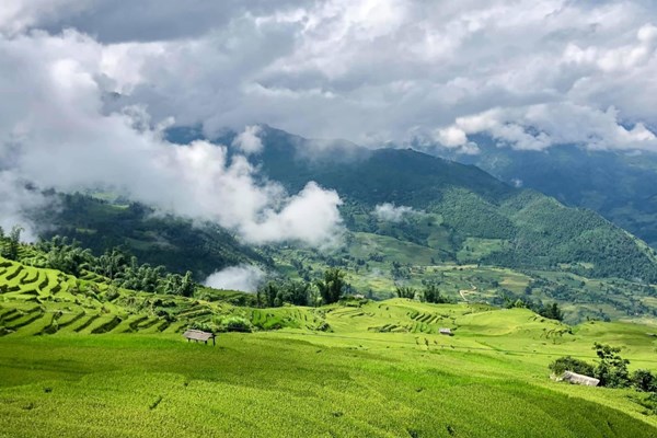 Lào Cai: Thung lũng ruộng bậc thang Thề Pả mùa lúa chín - Anh 3