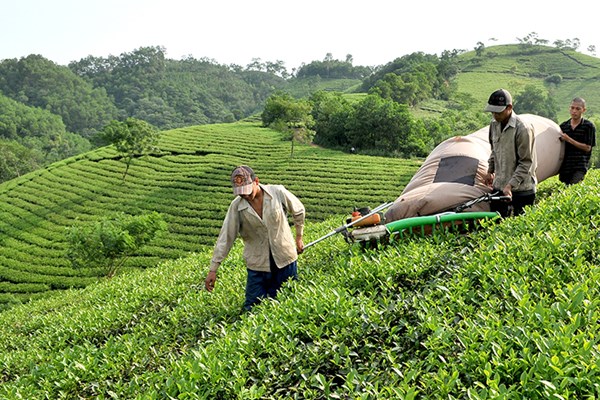 Quan tâm đầu tư phát triển toàn diện vùng đồng bào các dân tộc thiểu số và miền núi - Anh 2