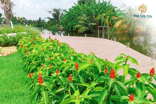Thị trường bất động sản quý 4/2021: “Second home” vùng ven hút khách - Anh 2