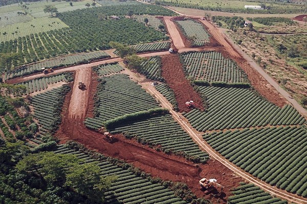 TP Bảo Lộc (Tỉnh Lâm Đồng): Nhiều sai phạm về quản lý, sử dụng đất và xây dựng cơ bản - Anh 1