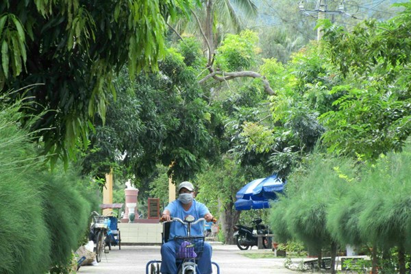 Cuộc sống xanh ở làng phong Quy Hòa - Anh 1
