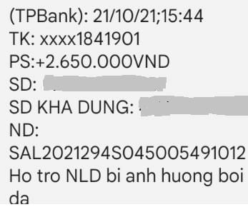 Kiểm tra việc thực hiện hỗ trợ NLĐ, sử dụng lao động bị ảnh hưởng bởi Covid-19 - Anh 1