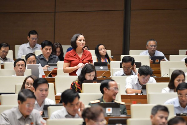 Đại biểu lo lắng vì tội phạm xâm hại trẻ em gia tăng - Anh 2