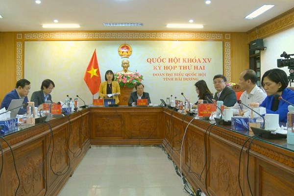 Đại biểu lo lắng vì tội phạm xâm hại trẻ em gia tăng - Anh 1