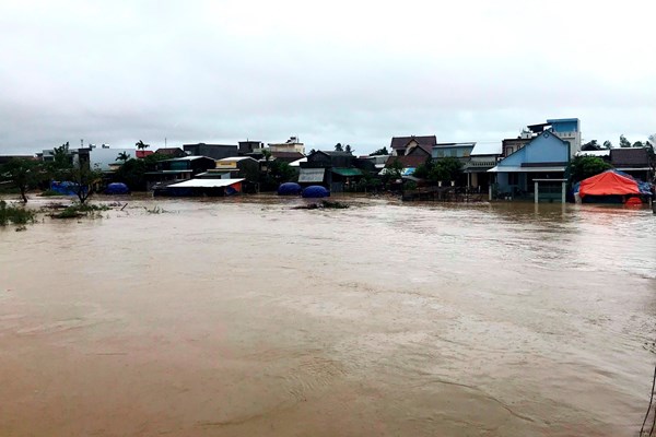 Quảng Ngãi: Gần 11.000 ngôi nhà bị ngập, sơ tán hơn 4.500 người - Anh 3