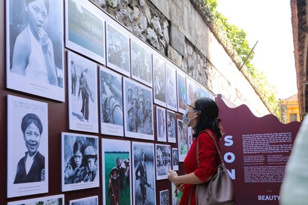 Những đóa hoa nở giữa phong ba - Anh 1