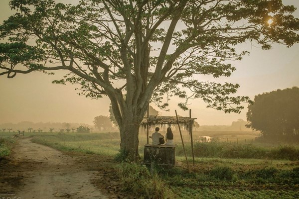 Thứ trưởng Bộ VHTTDL Tạ Quang Đông: Liên hoan Phim Việt Nam XXII sẽ ghi dấu ấn đặc biệt - Anh 2