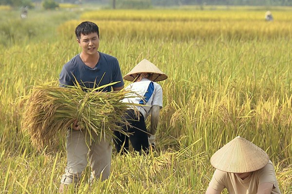 Bức tranh nông thôn hiện đại ở 