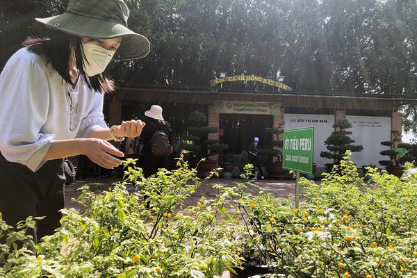 Xây dựng sản phẩm du lịch đặc trưng: Phải giữ được chất “quê mùa” truyền thống - Anh 1