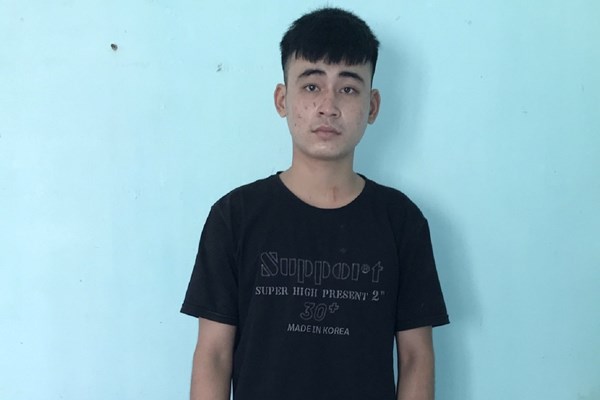 Quảng Nam: Tạm giữ đối tượng chống người thi hành công vụ - Anh 1